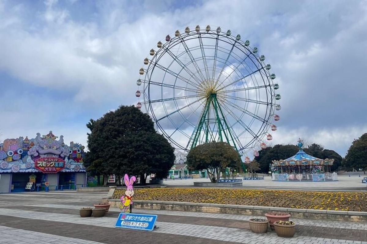 a ferris wheel in a park with a roller coaster