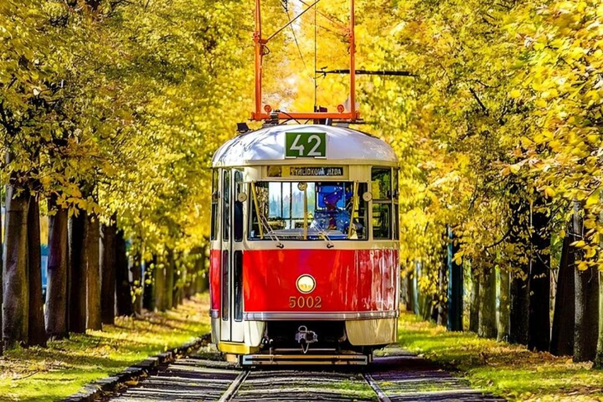 un tram su un binario con alberi