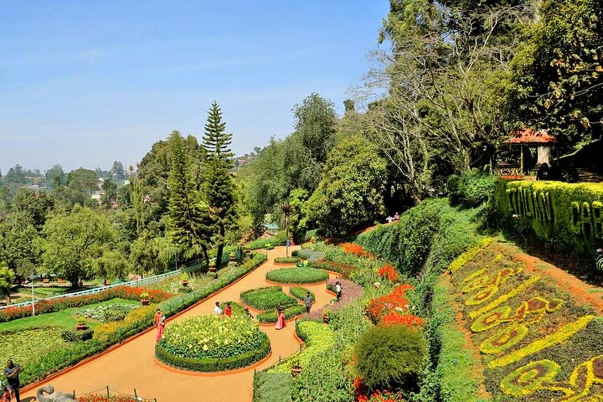 a garden with flowers and plants in a park