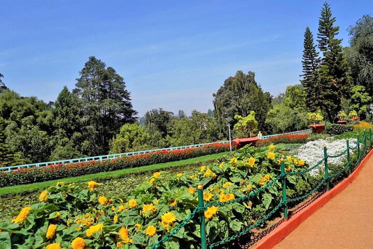 a row of flowers in a garden with a train