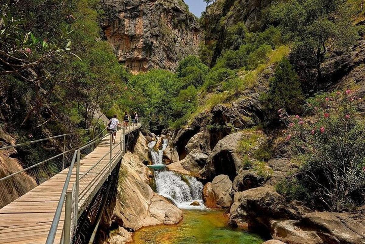 un grup de persones caminant per un pont sobre un riu