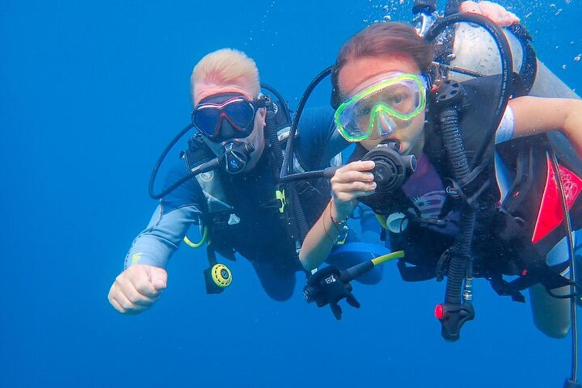 two people are diving in the water