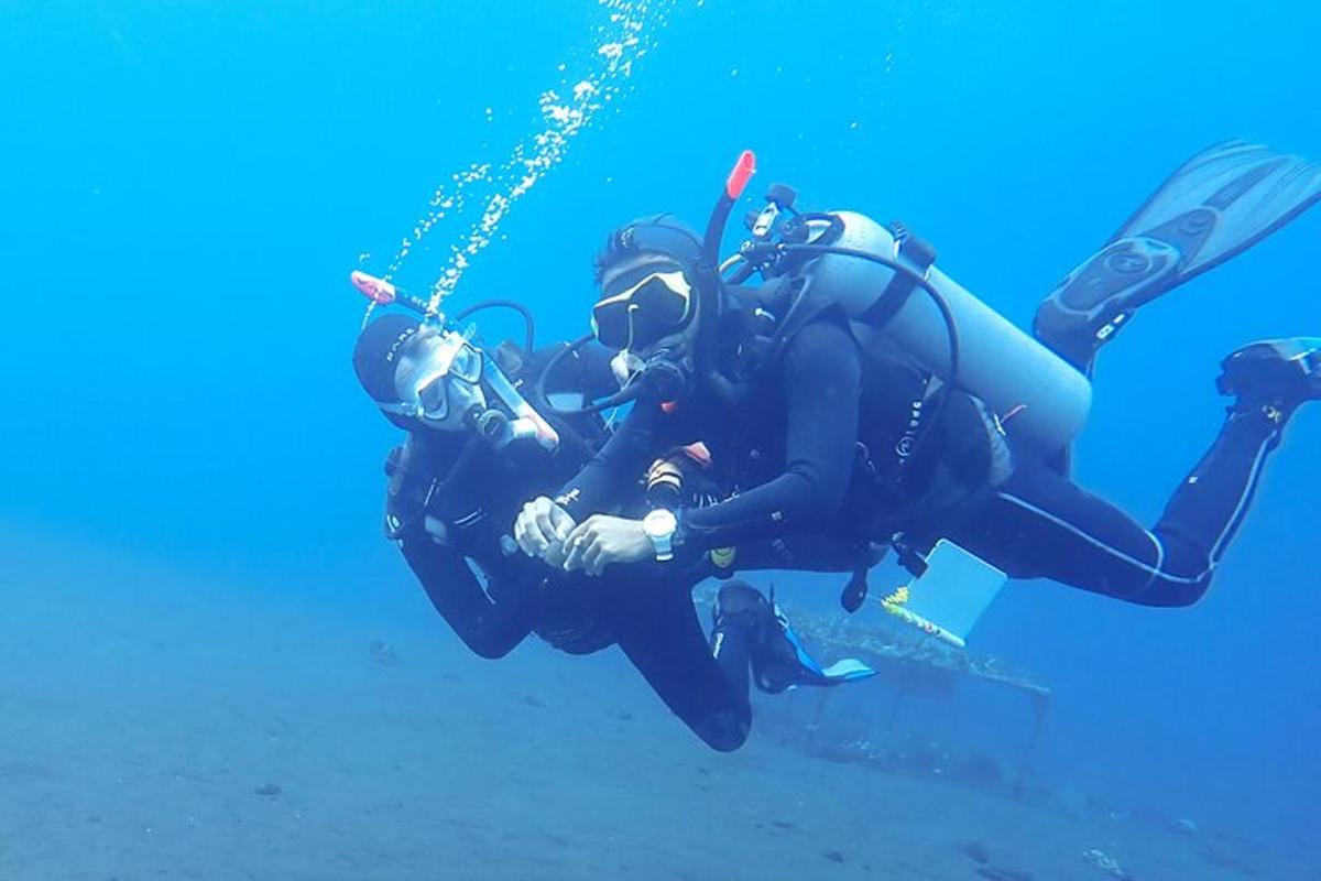 a person in a wetsuit diving in the water