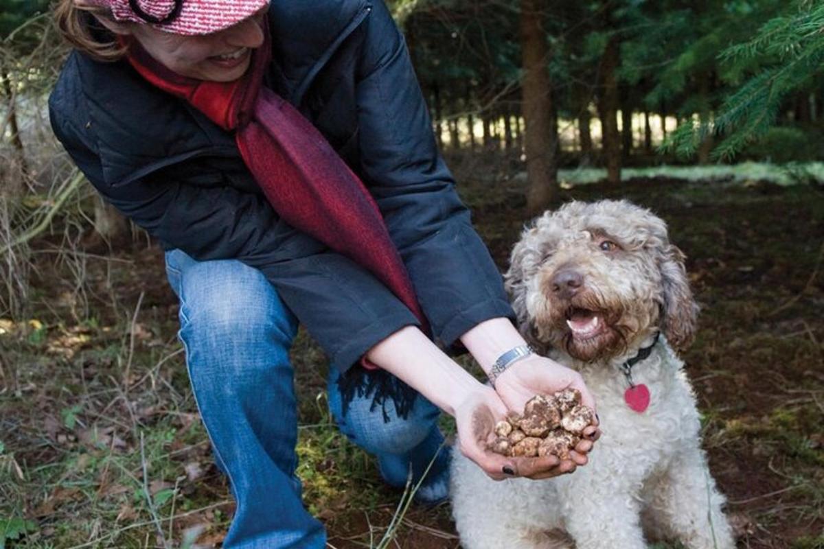 kona með hund sem heldur á mat í hendi sér