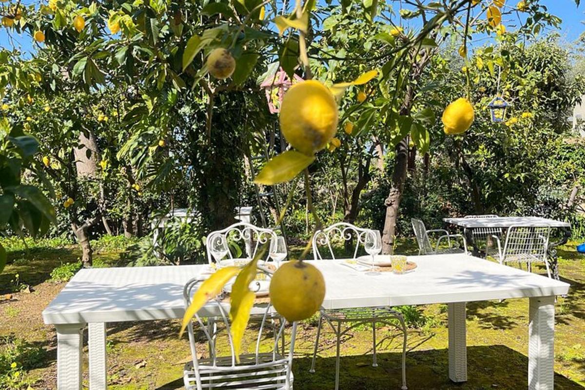 uma mesa branca e cadeiras sob um limoeiro
