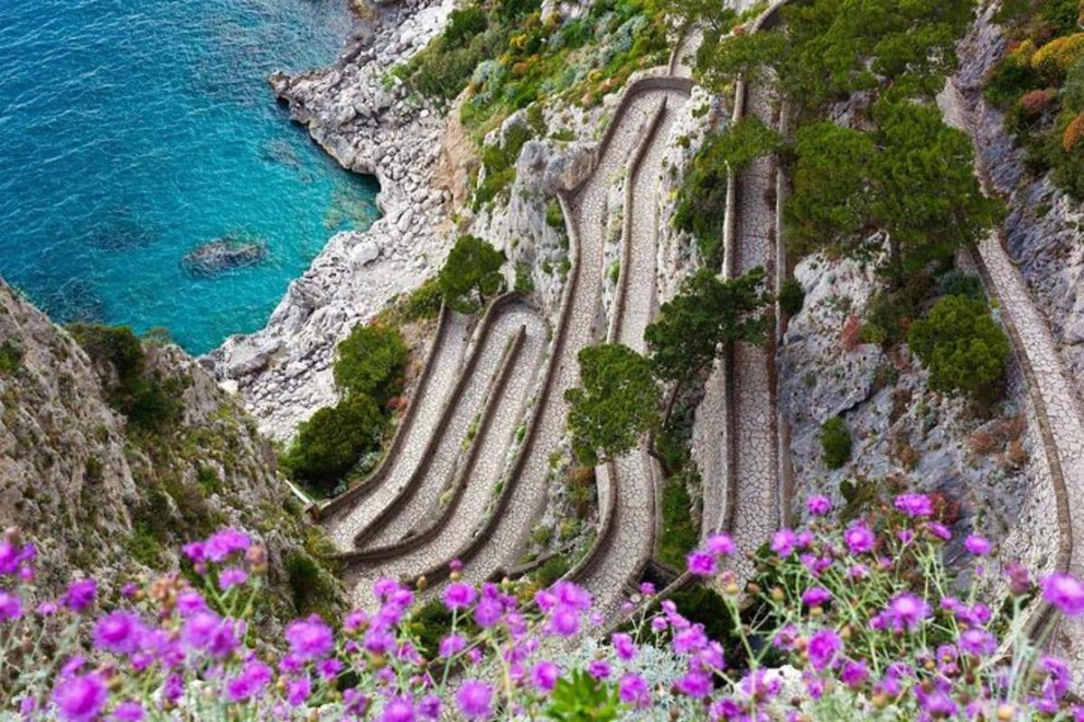 Un camino sinuoso en la ladera de una montaña con flores rosas.
