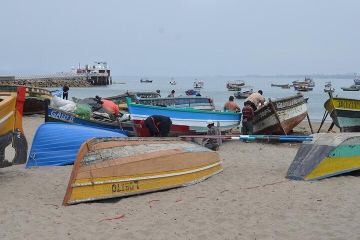 sekumpulan bot duduk di pantai