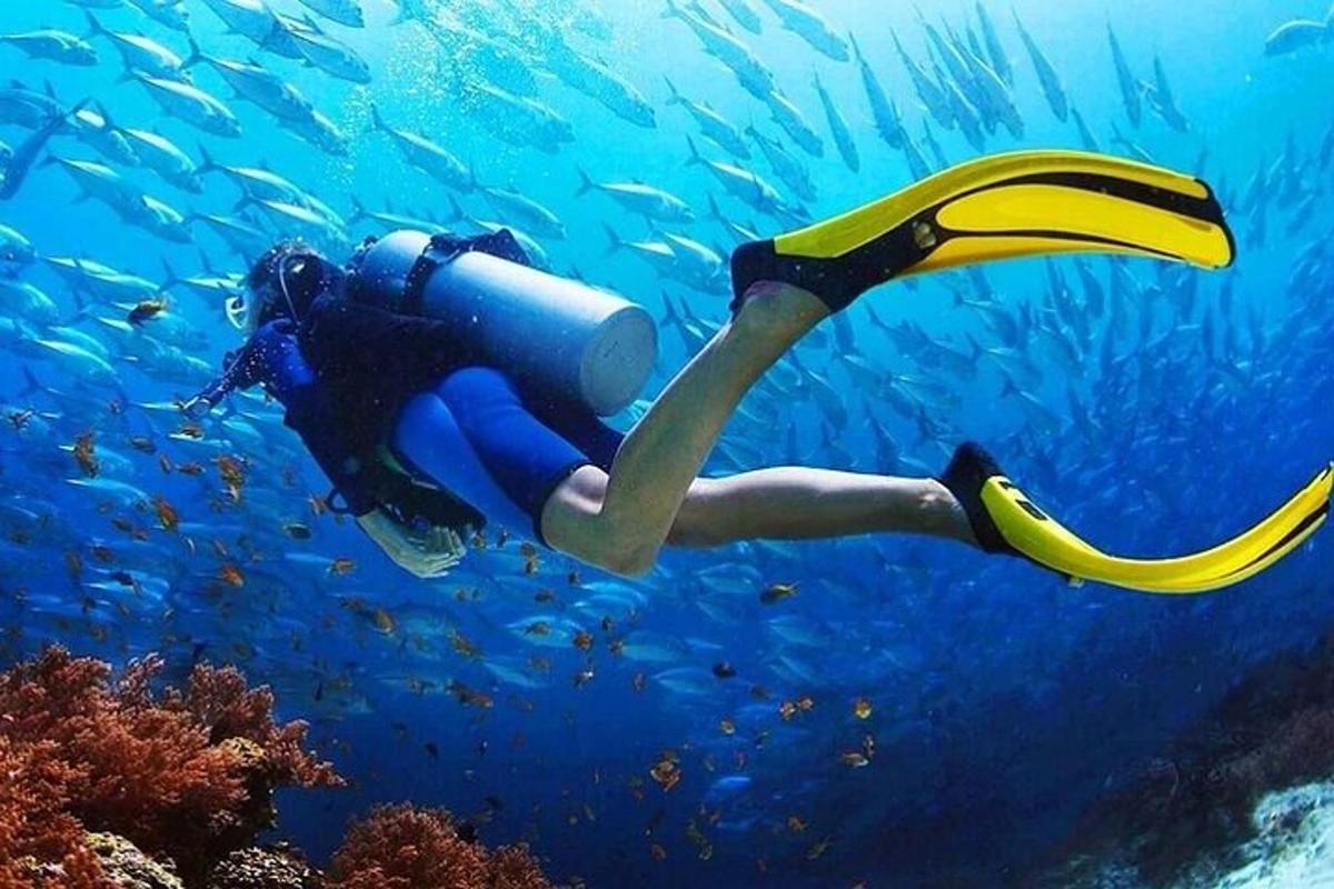 osoba plavající v oceánu s akváriem
