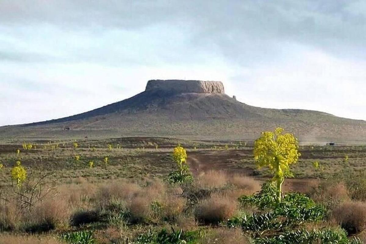 a mountain in the middle of a field with trees