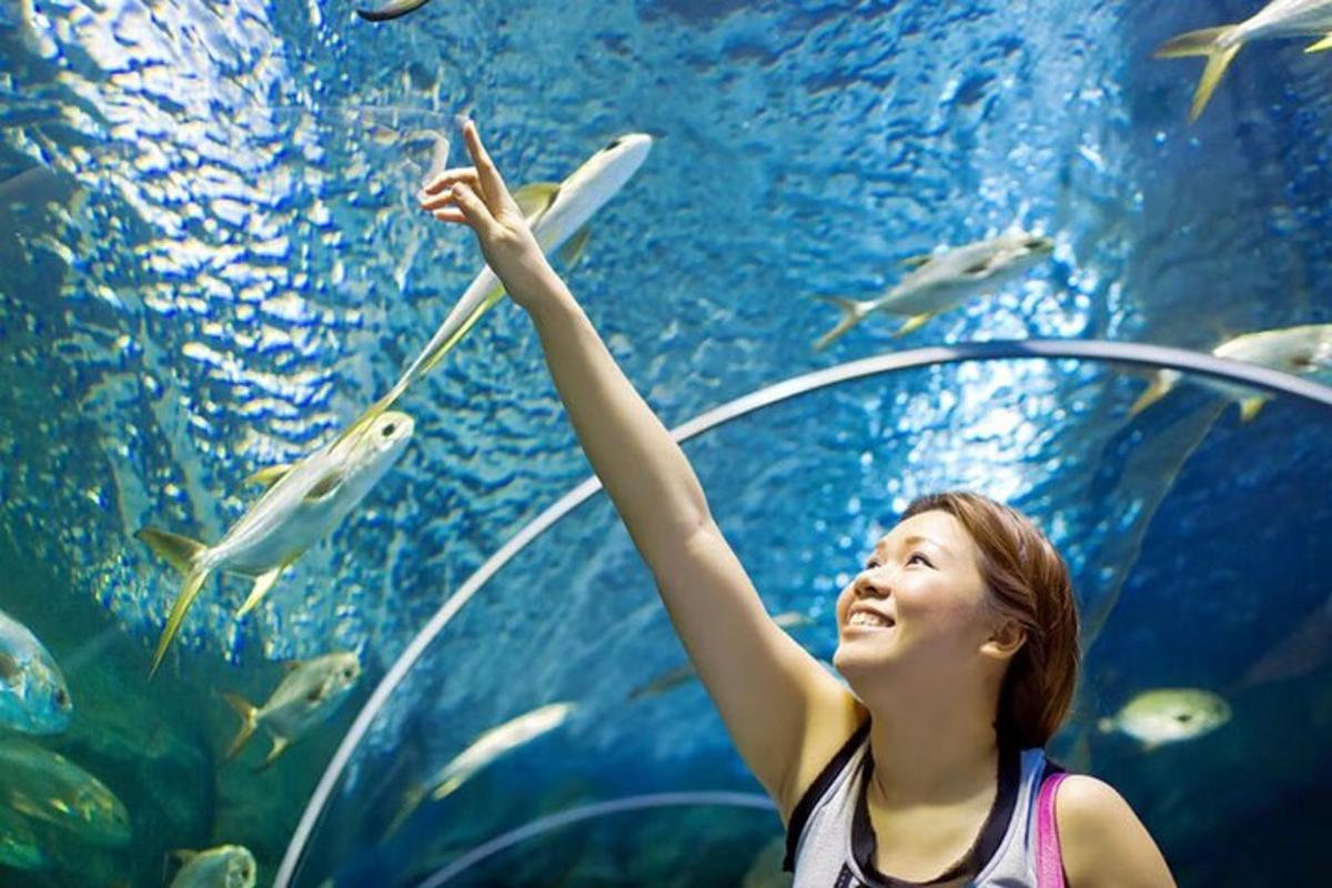 a woman is looking at fish in an aquarium