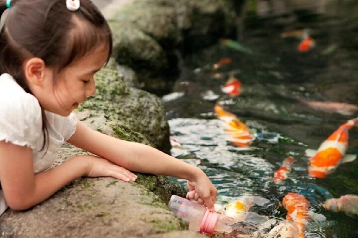a little girl sitting on a rock looking at fishes in a pond