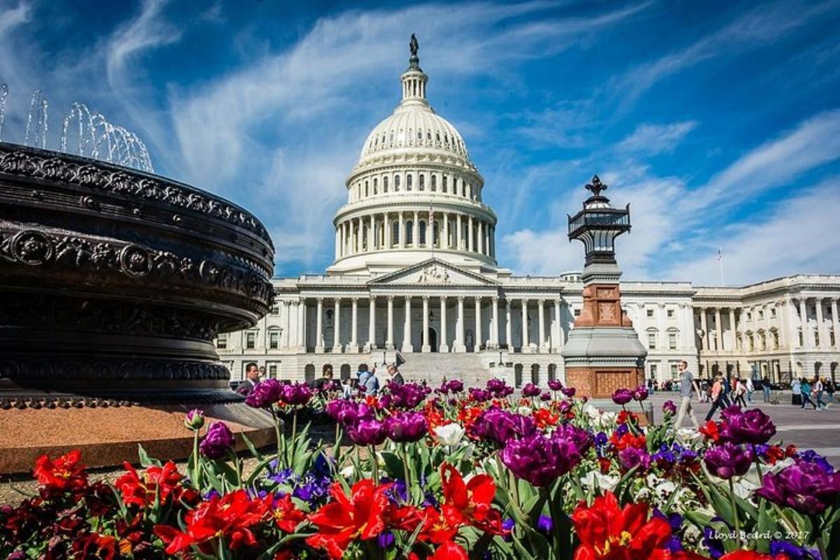 Un ramo de flores frente al Capitolio de los Estados Unidos.