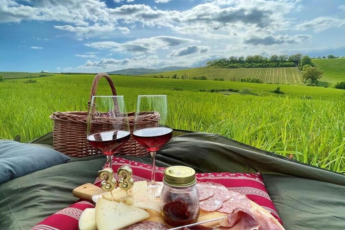 piknik se dvěma sklenicemi vína a sýrem