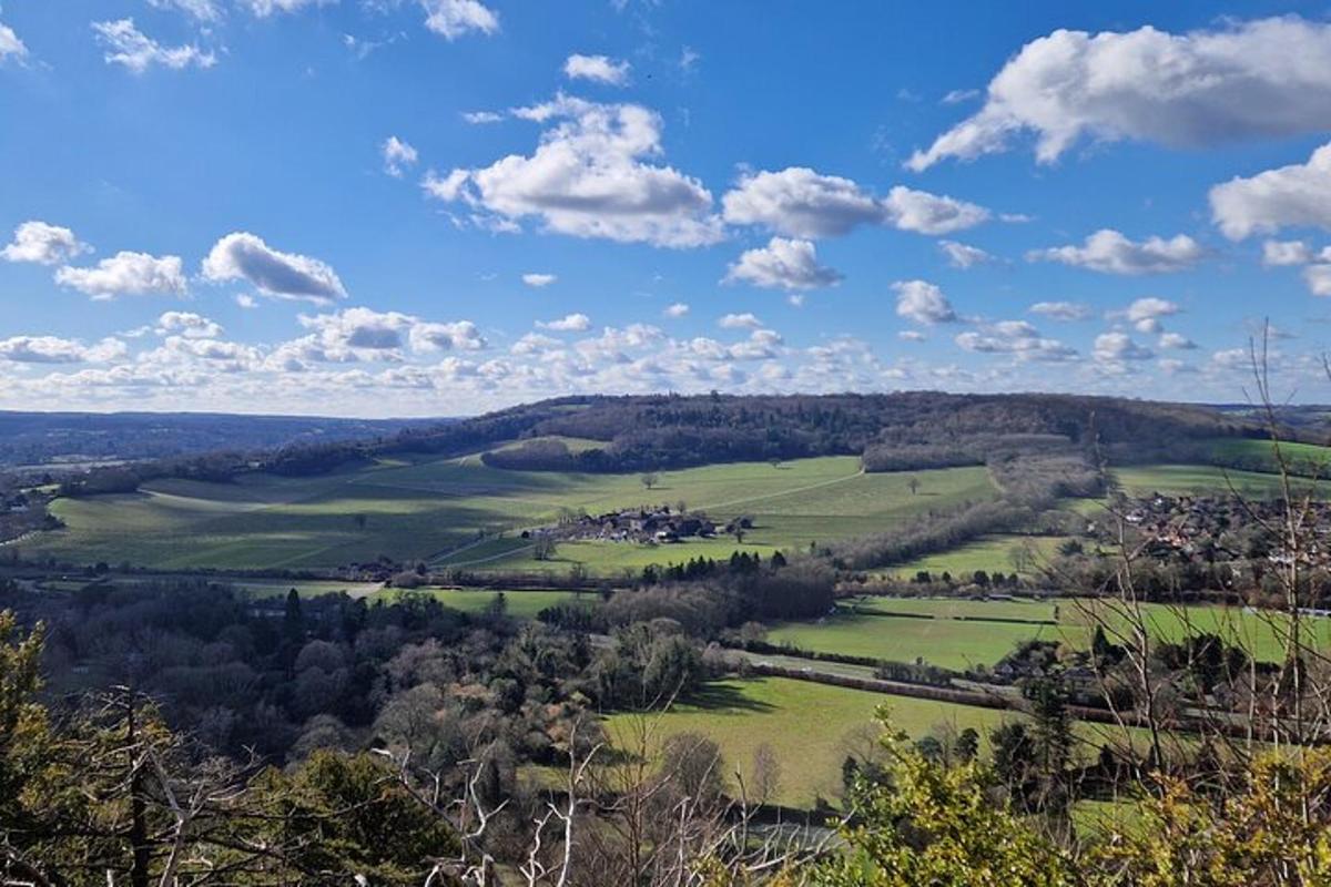 Una vista de un campo verde con árboles y nubes.