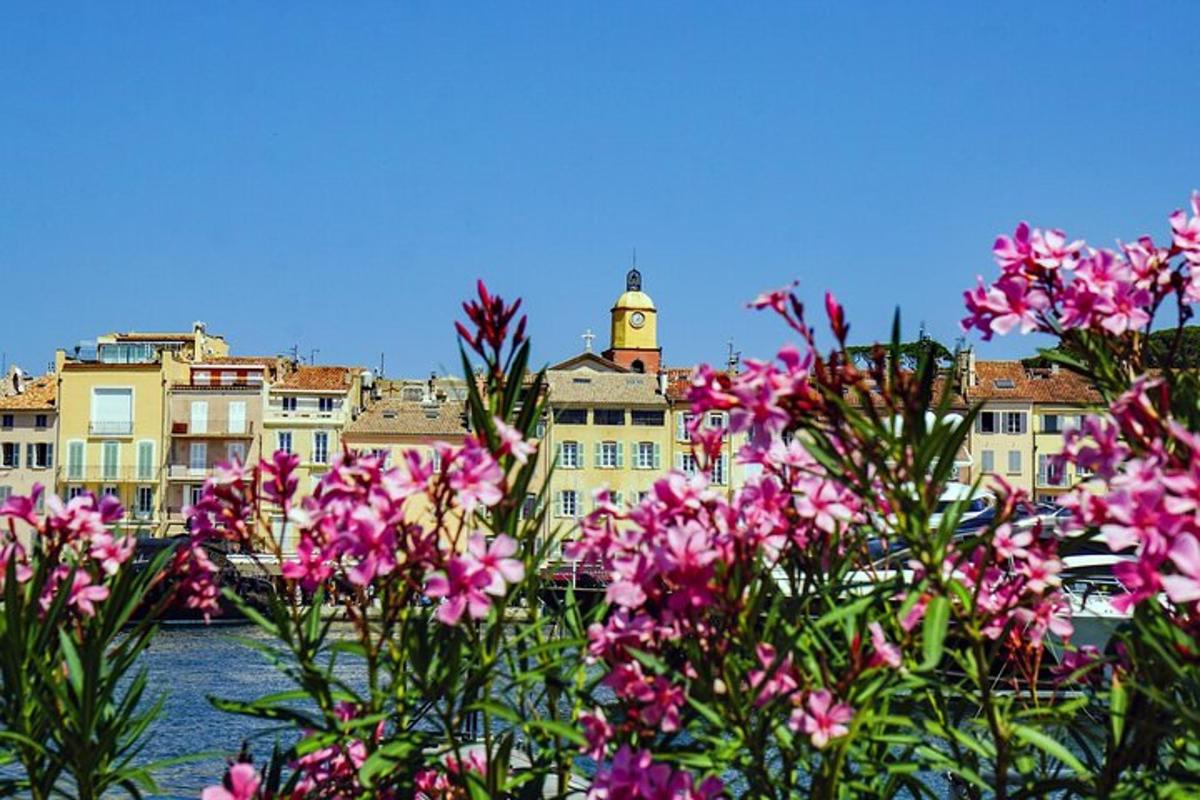 a group of pink flowers with buildings in the background
