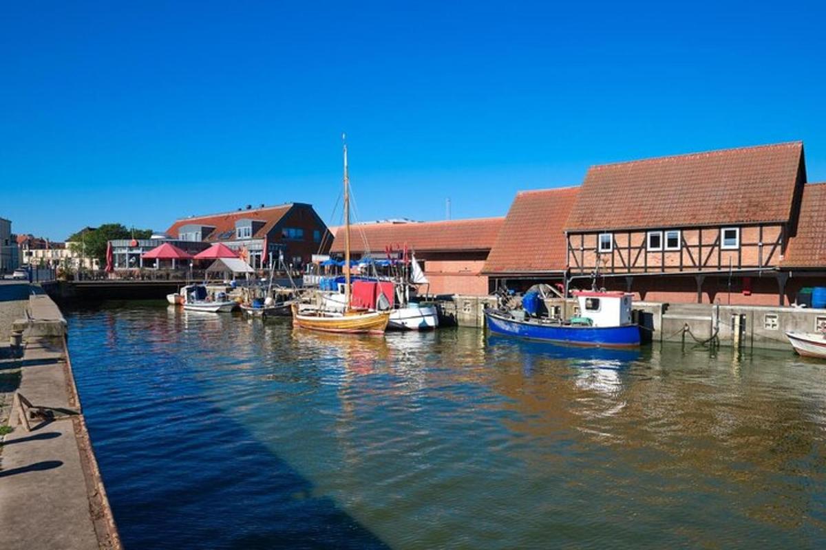 a group of boats are docked in a harbor