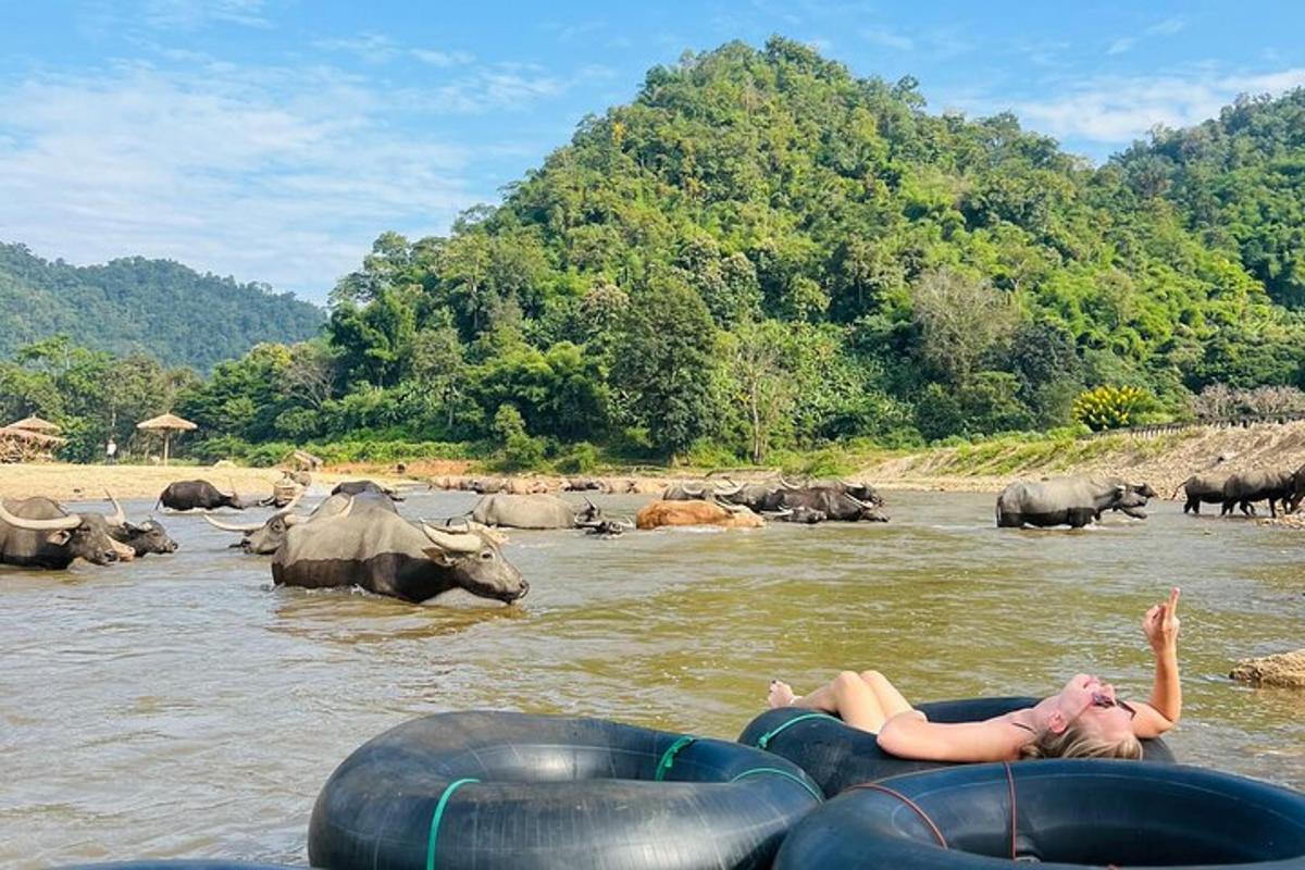 a group of people on rafts in a river with animals