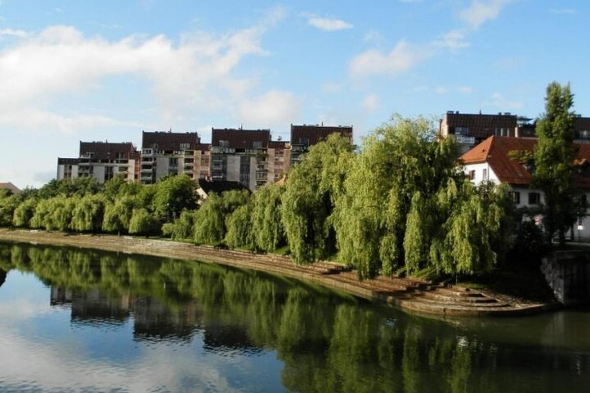 un riu amb arbres i edificis al fons