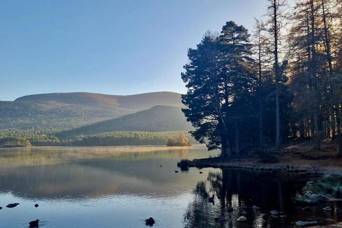 un lago con alberi e montagne sullo sfondo