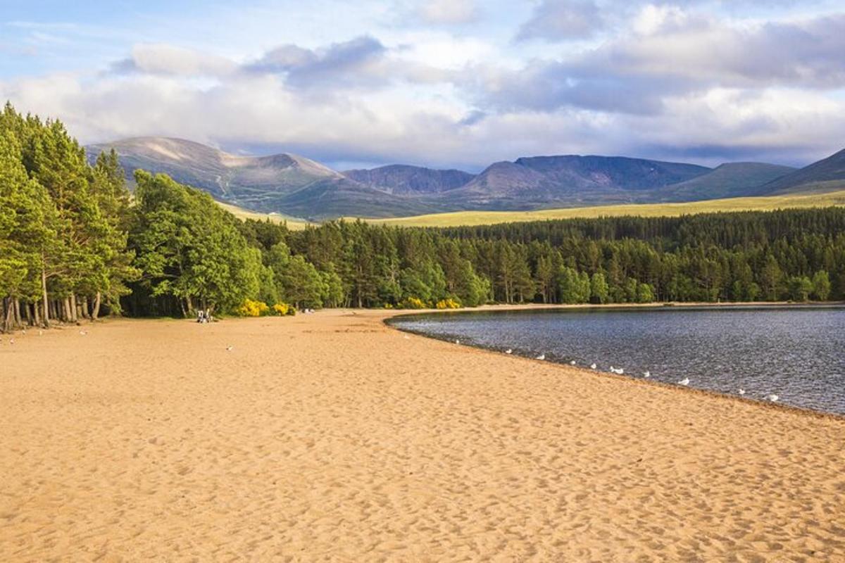 una spiaggia sabbiosa vicino a uno specchio d'acqua