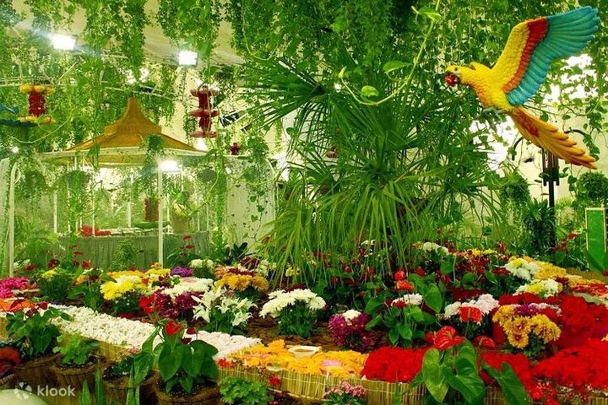 a display of flowers in a flower shop