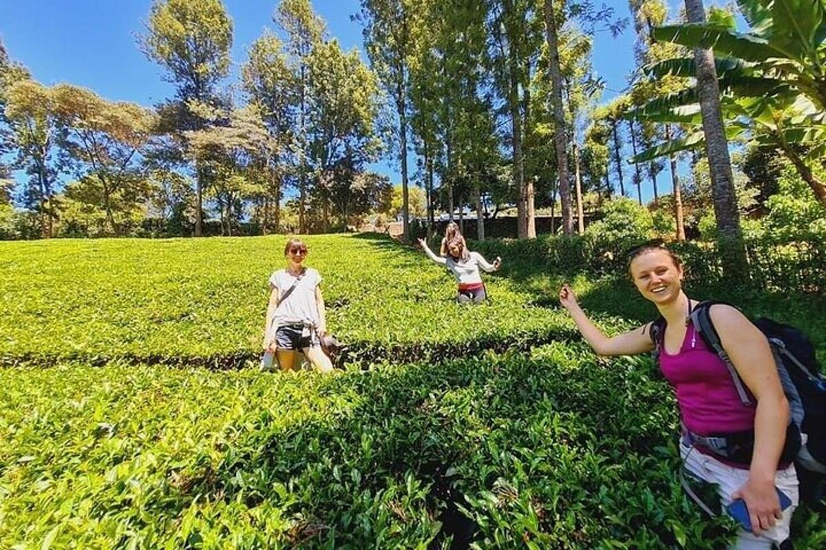 skupina lidí stojících v trávě