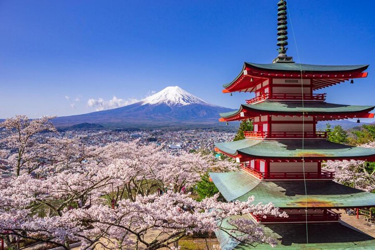 een pagode met een berg op de achtergrond met akurabomen