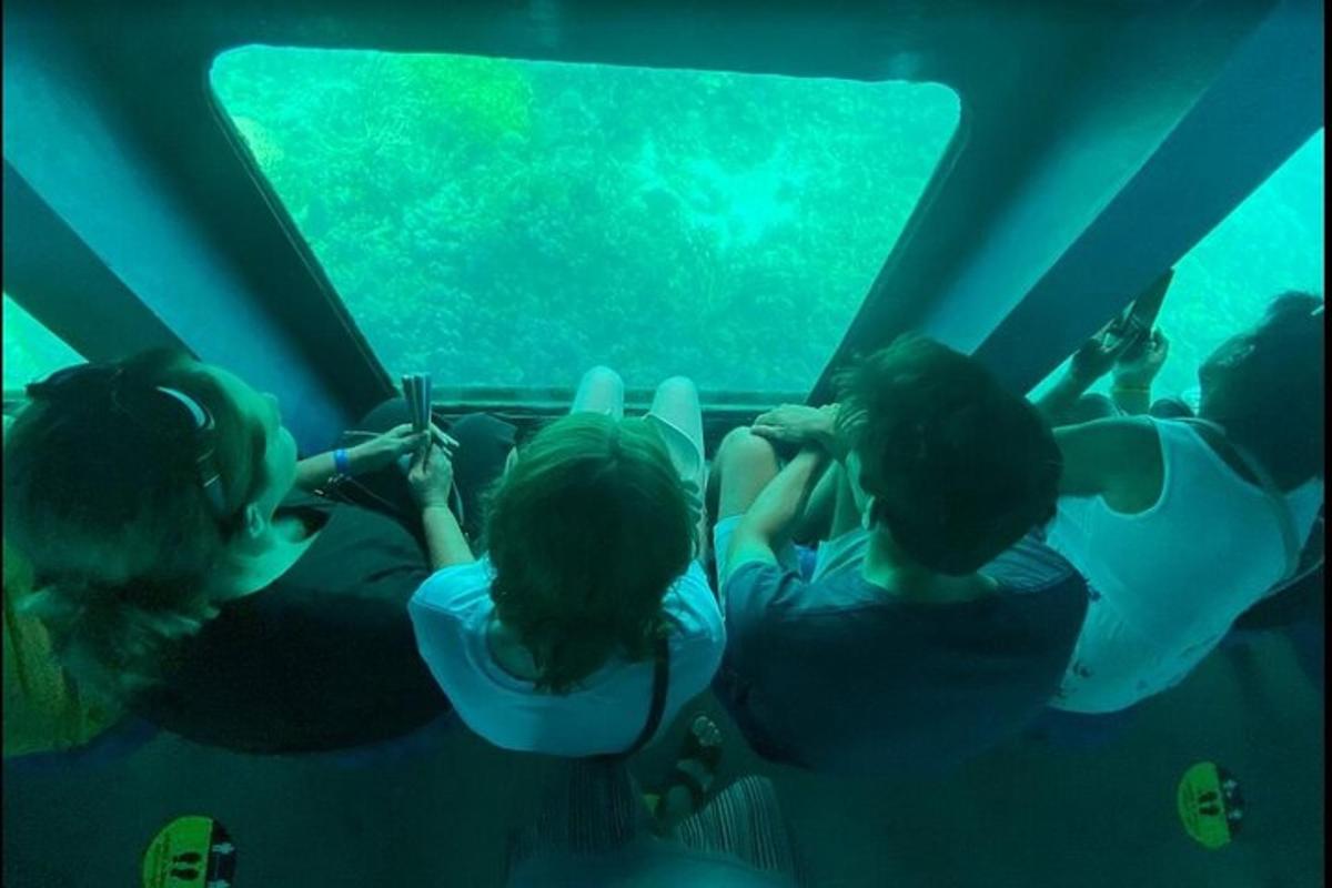 a group of people looking at the fish in an aquarium