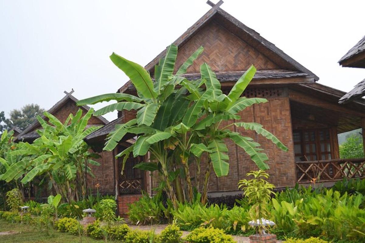 a house with a palm tree in front of it