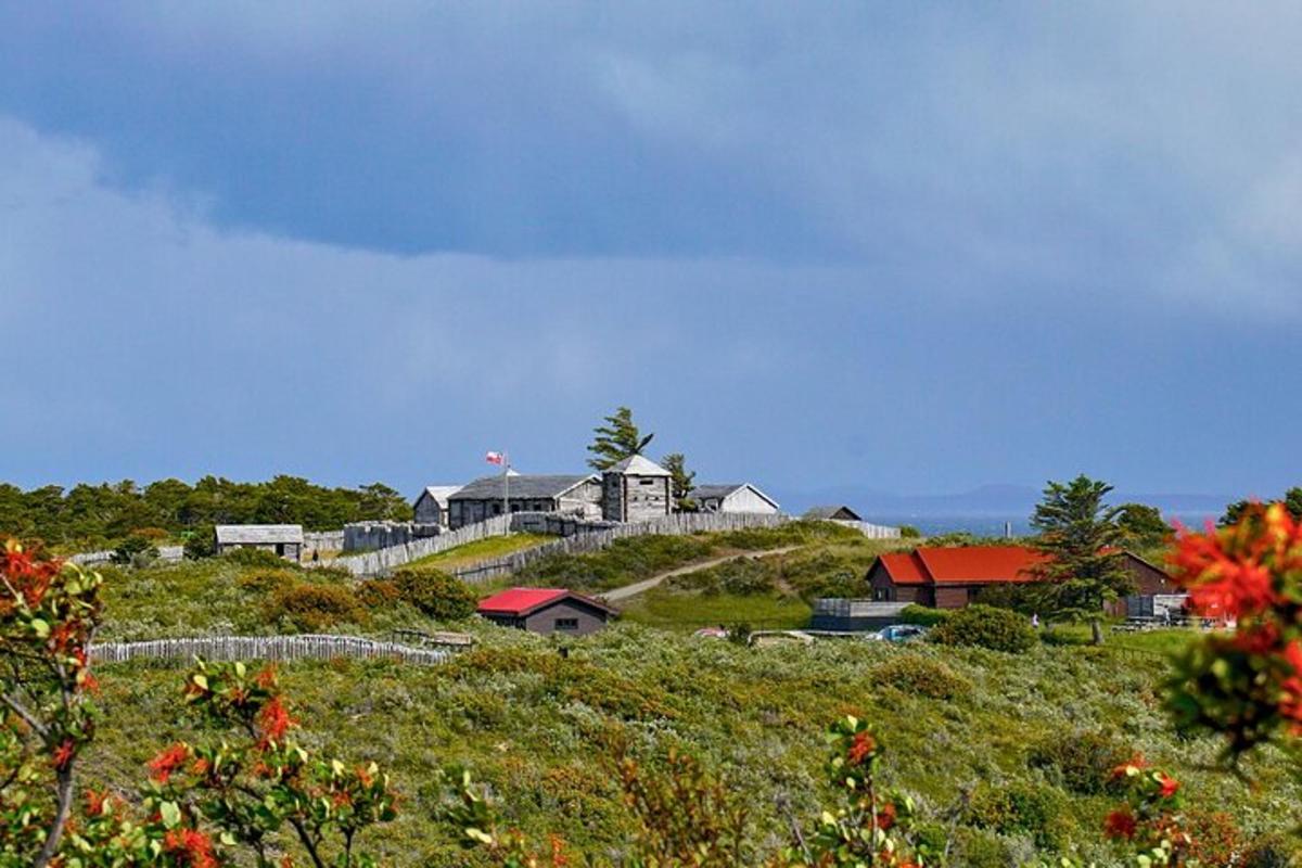 a group of houses on top of a hill