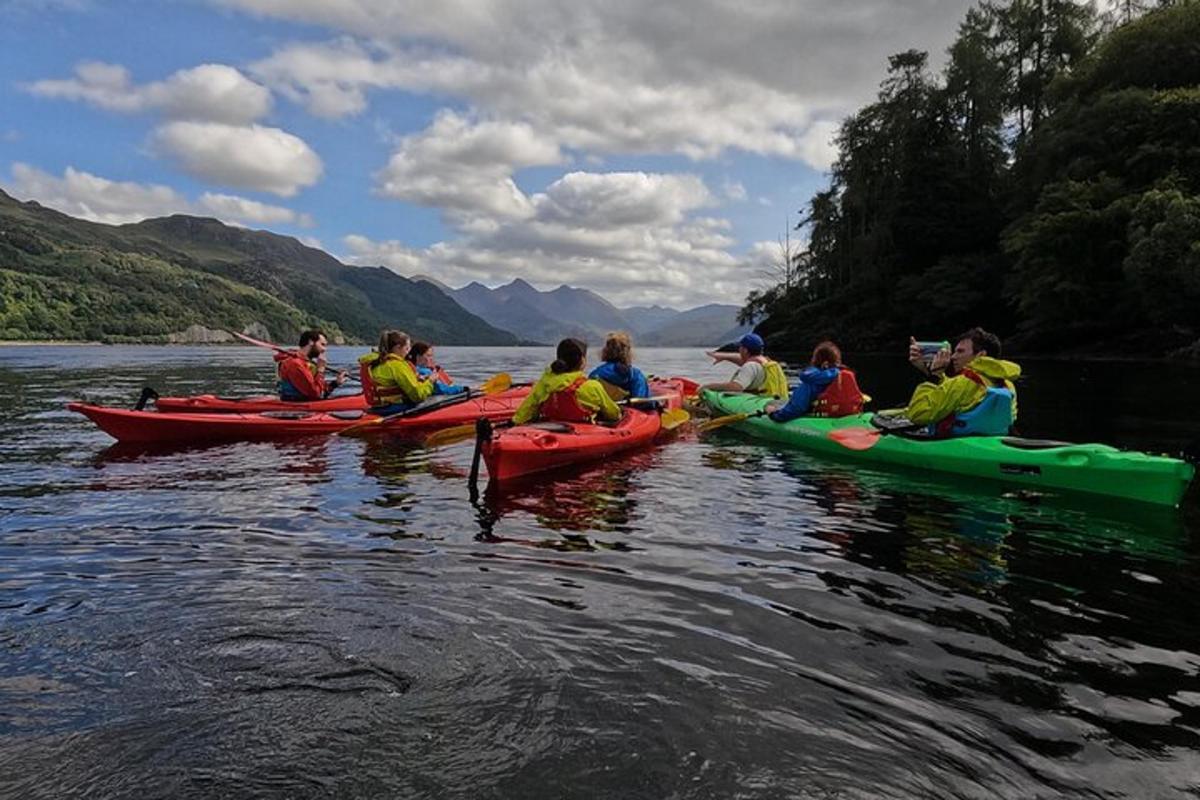 a group of people in kayaks on the water
