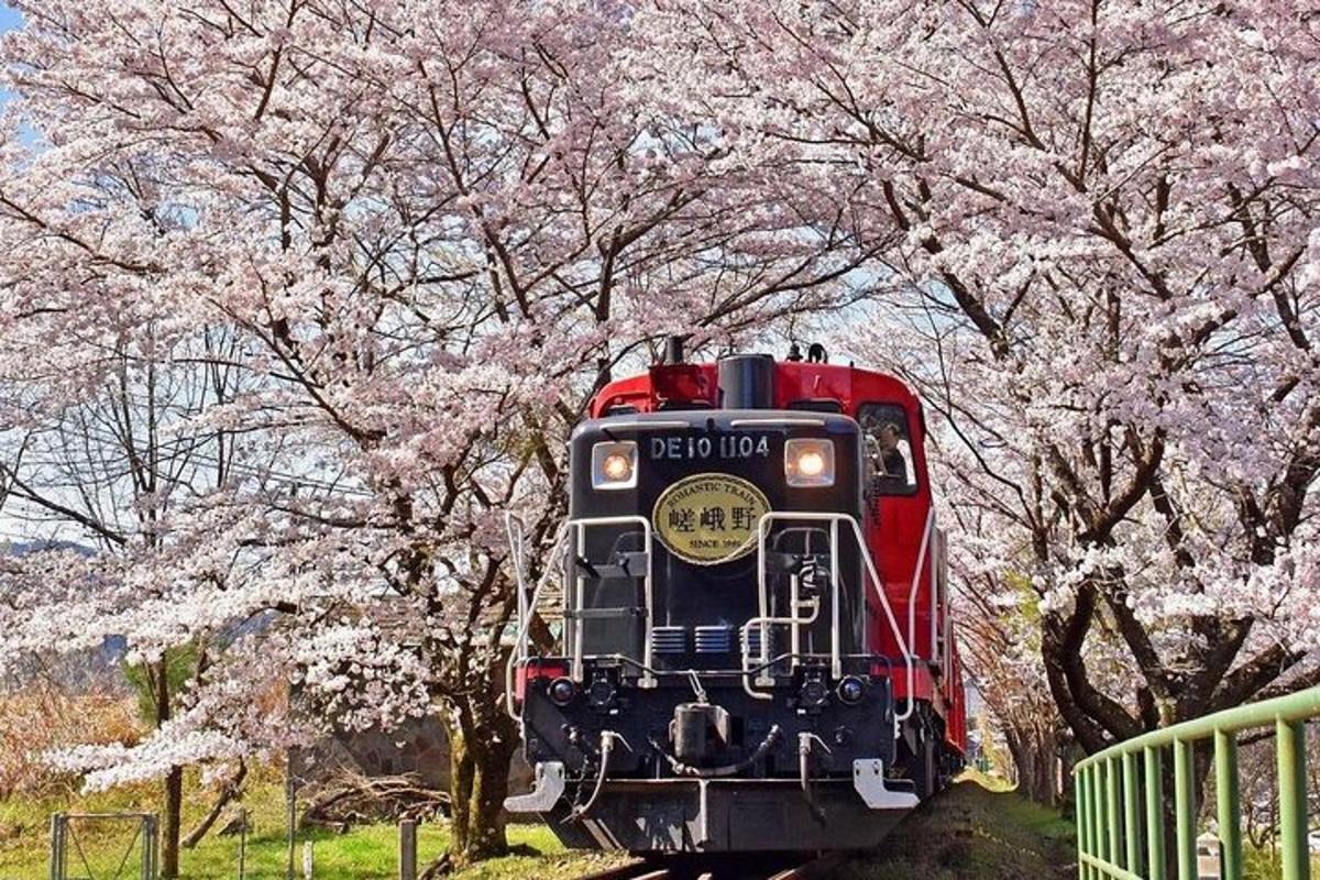 un tren vermell que viatja entre arbres amb flors roses