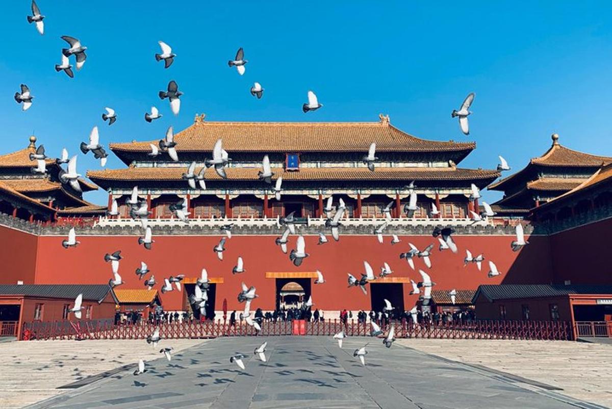 a flock of birds flying in front of a building