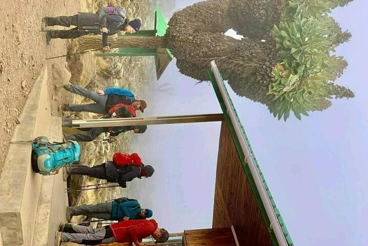 група људи на ролеркостеру