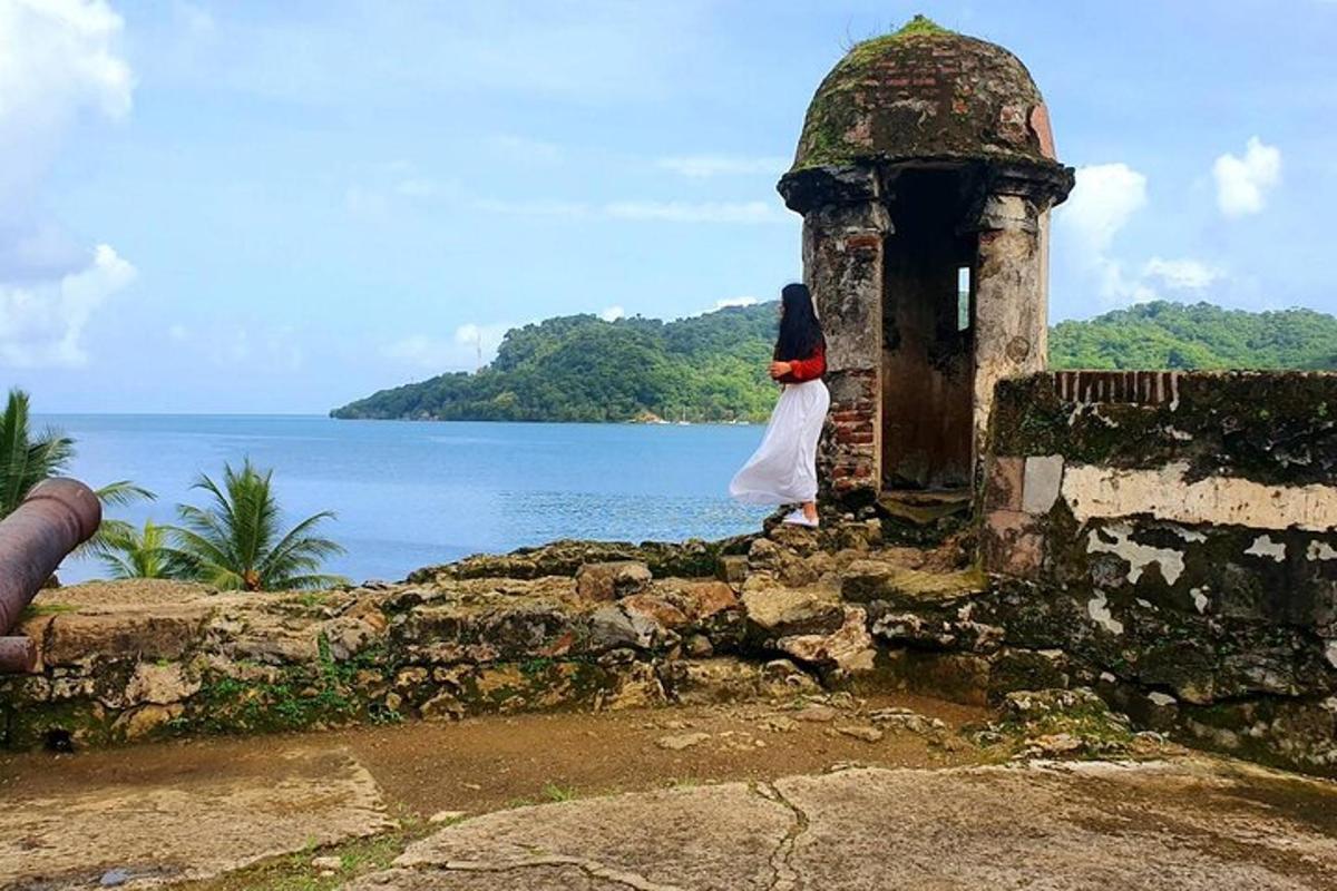 una donna in piedi su un muro che guarda l'oceano