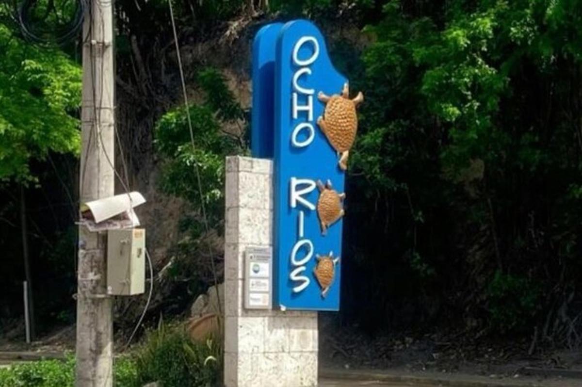 üzerinde iki tavuk bulunan bir otel tabelası