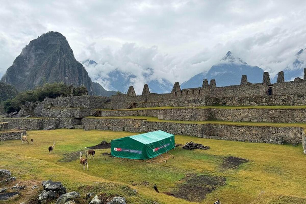 uma tenda verde em um campo em frente a uma montanha