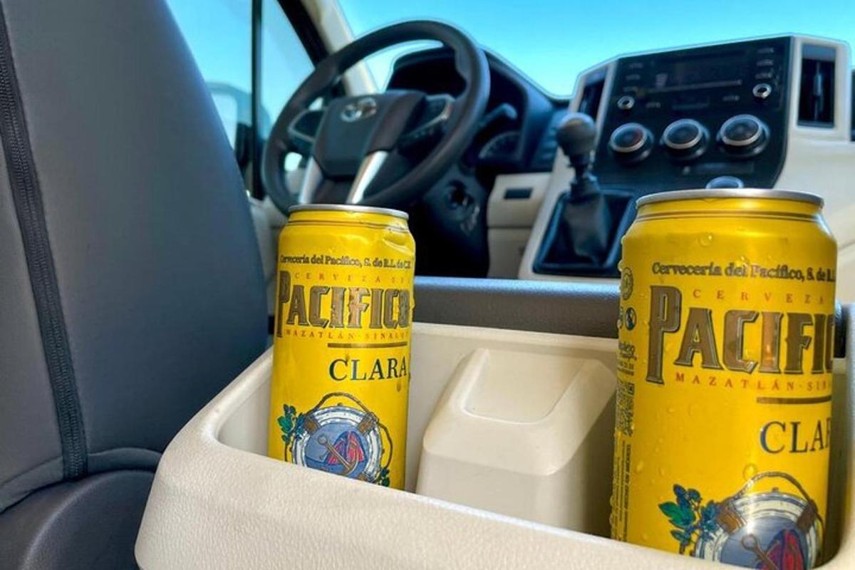 dua tin bir kuning duduk di dalam kereta