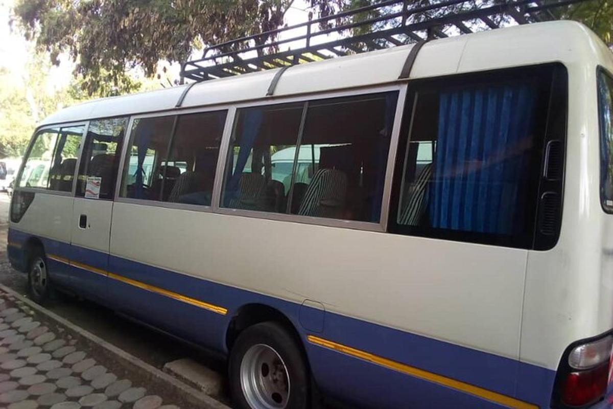 un autobus bianco e blu parcheggiato sul ciglio della strada