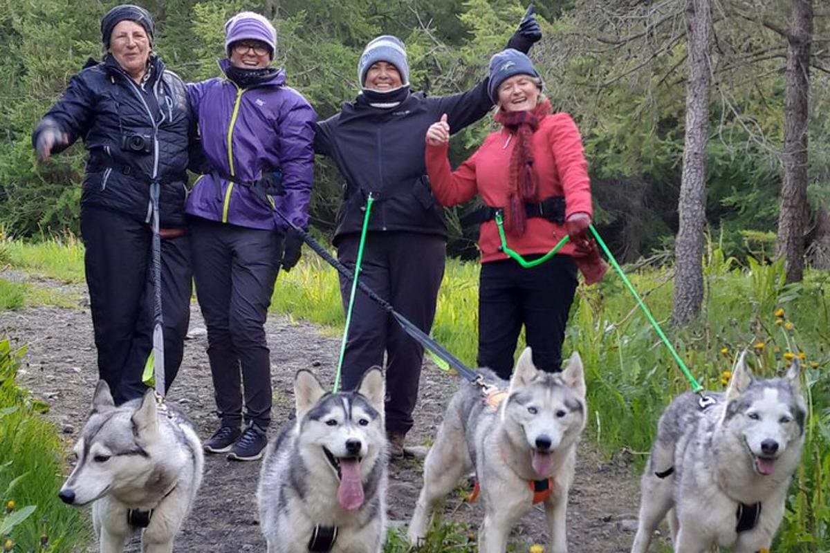 een groep vrouwen die met hun honden op een pad staan
