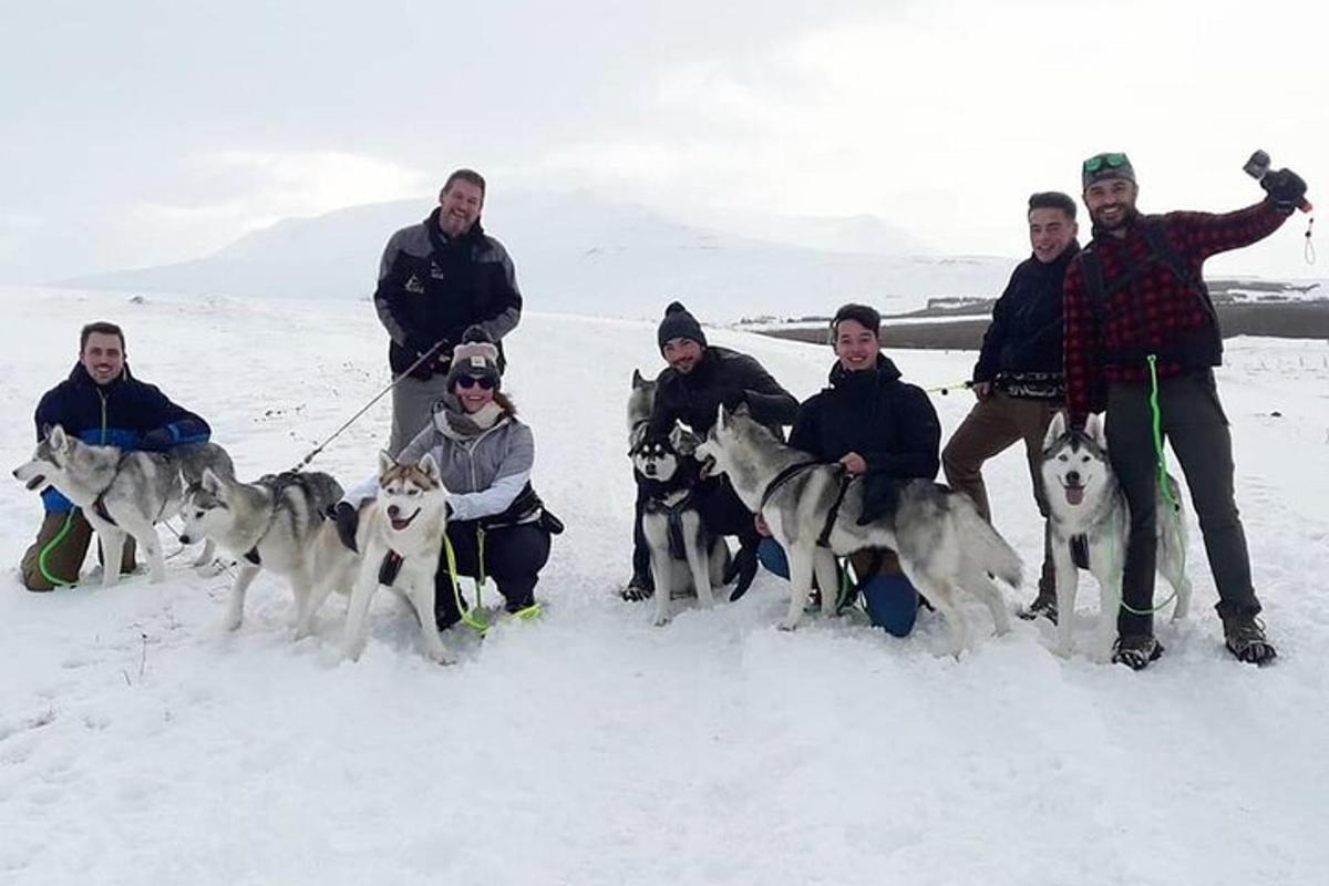 một nhóm người tạo dáng trên tuyết với những chú chó husky