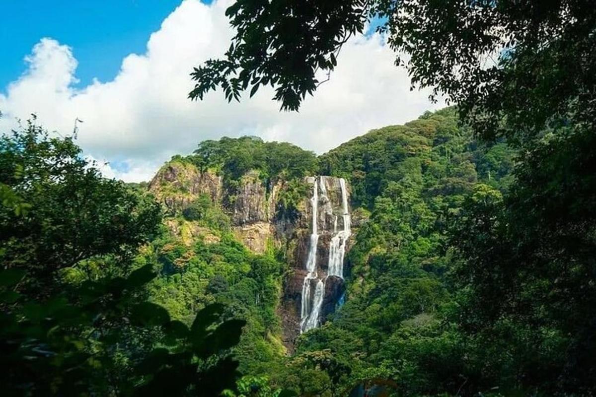 a waterfall in the middle of a forest