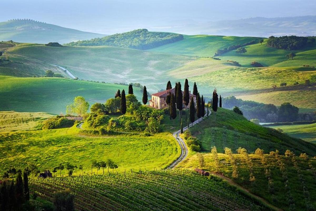 una fattoria in un campo verde con alberi e una casa
