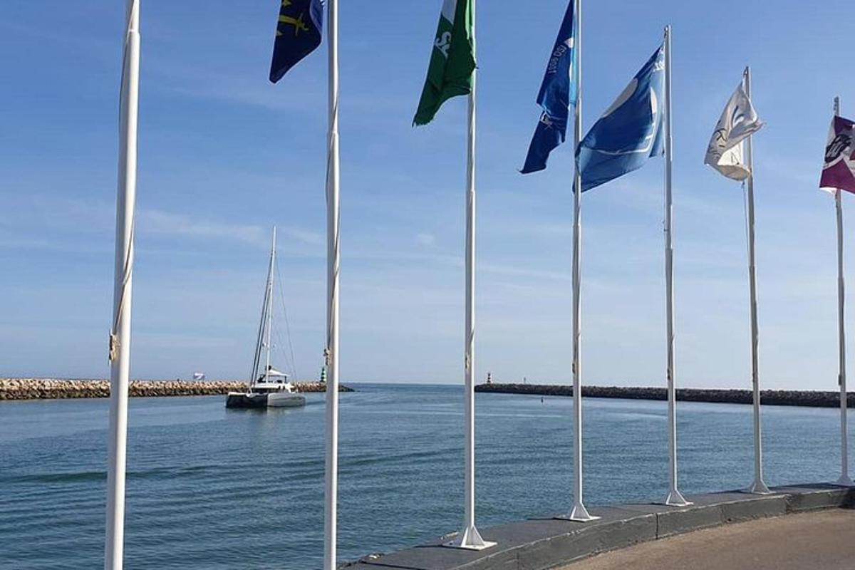 un gruppo di bandiere su pali vicino all'acqua con una barca