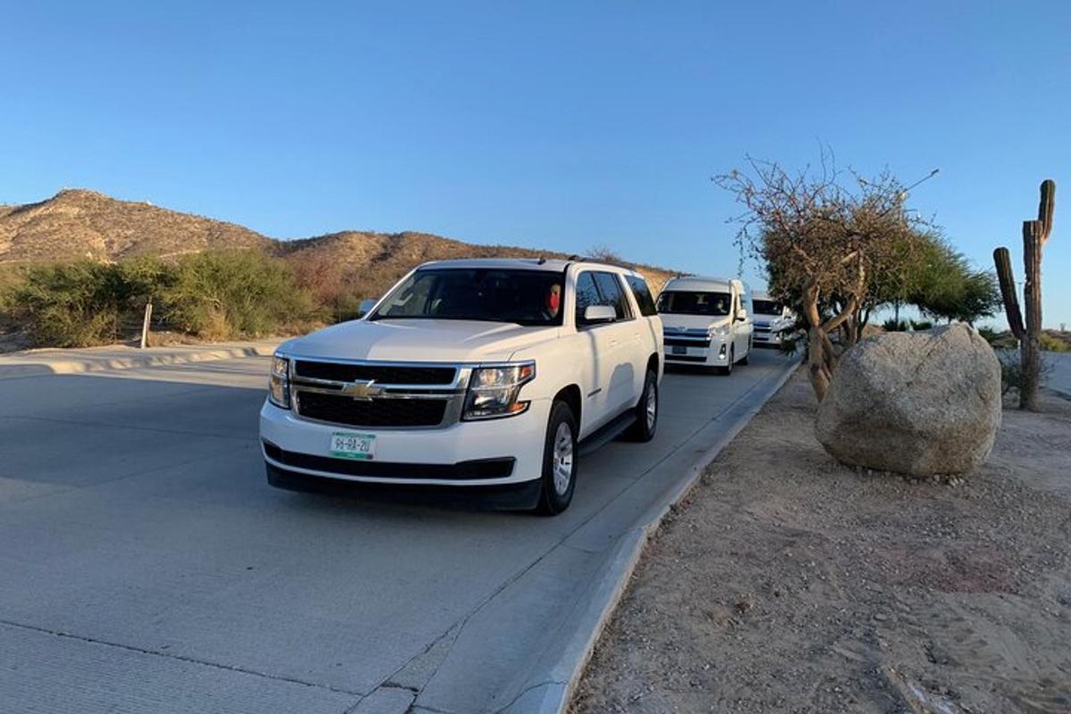 una filera de cotxes aparcats a la vora d'una carretera
