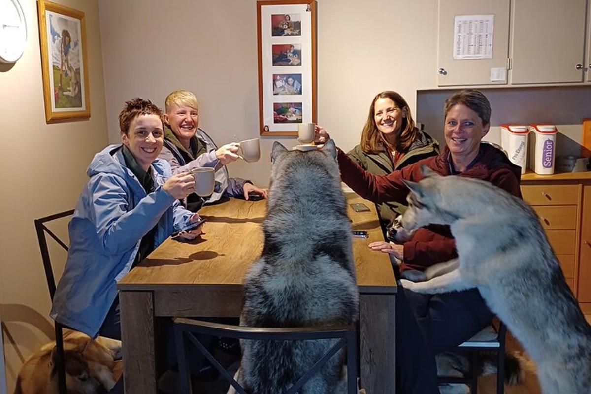 a group of people sitting around a table with two dogs