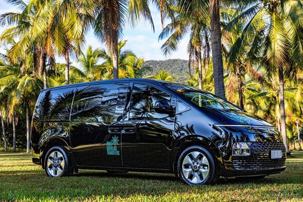 a black van parked in the grass near palm trees