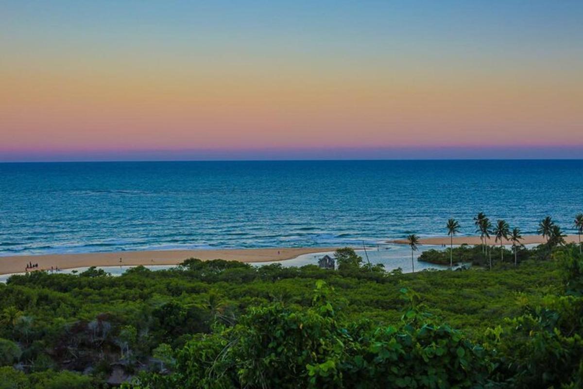 a beach with palm trees and the ocean at sunset