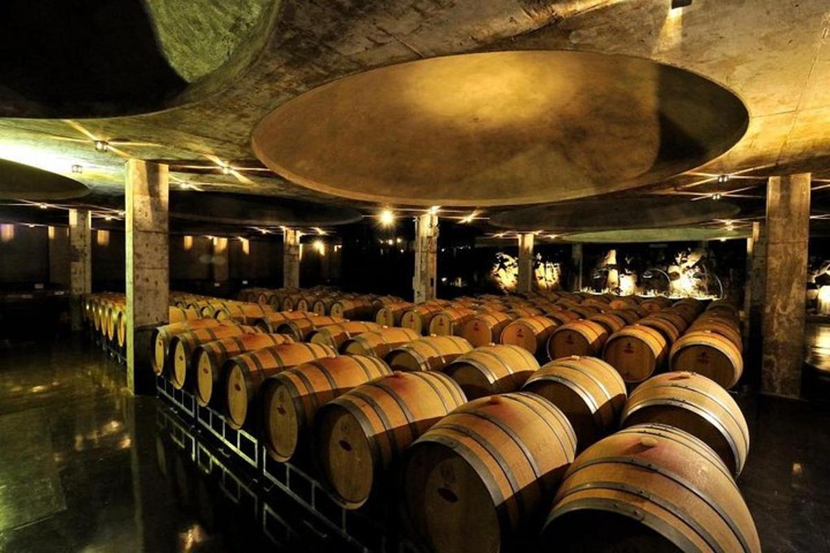 a row of wine barrels in a wine cellar