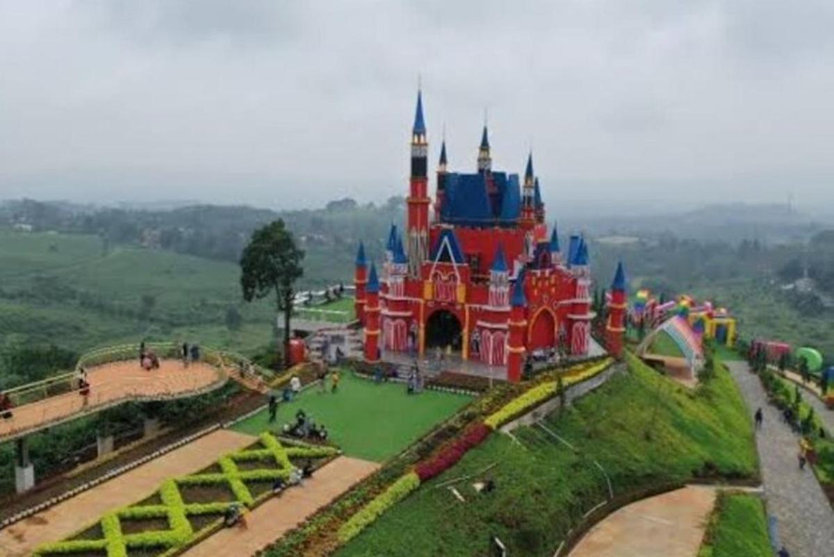 Loftmynd af Disney-kastala